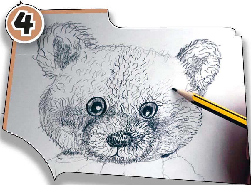 Continue adding furry detail, and the eyes, nose and ears of your teddy bear.