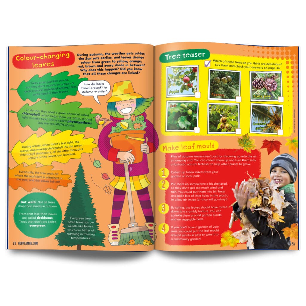 Hoopla Issue 3: AUTUMN ACTION - Image 4