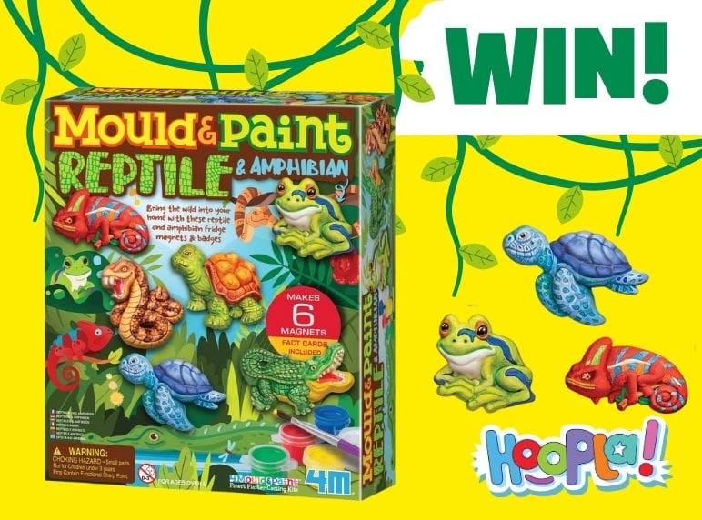 Win an animal craft kit