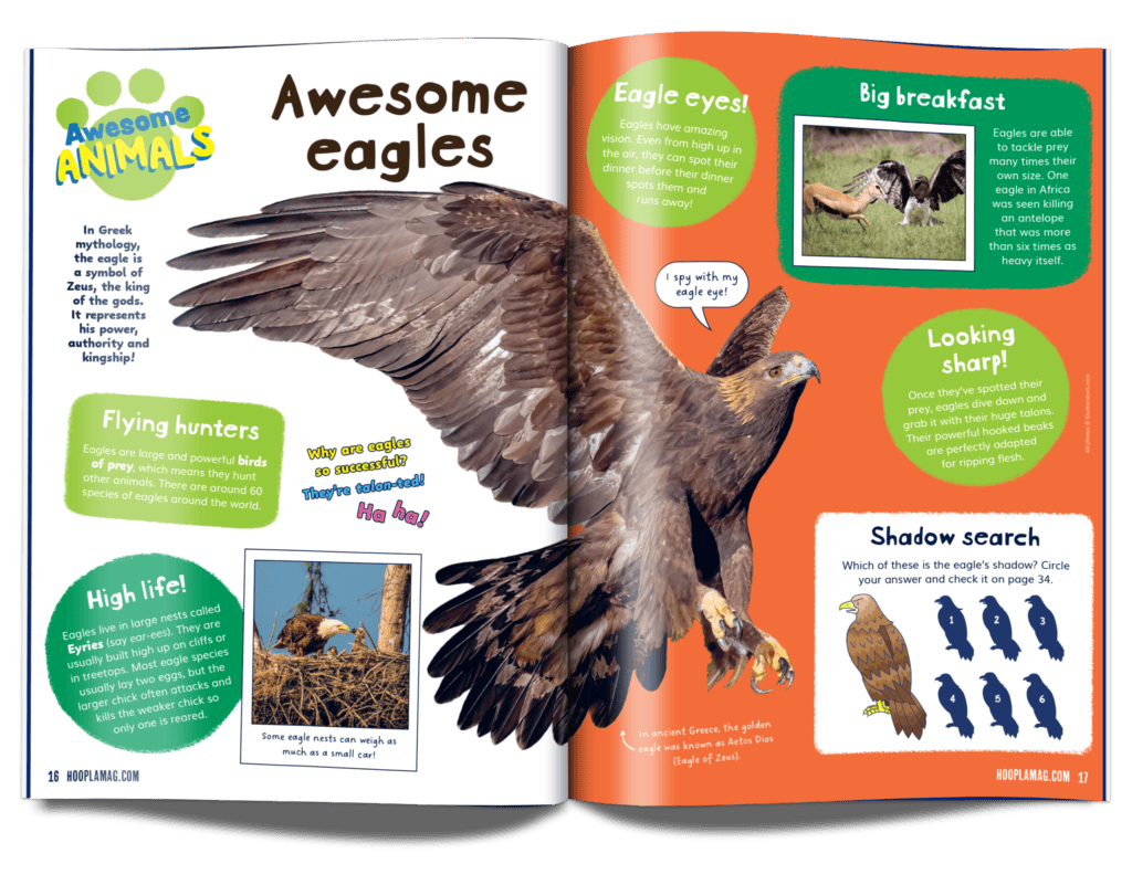Hoopla Issue 19: ANCIENT GREEKS! - Image 4
