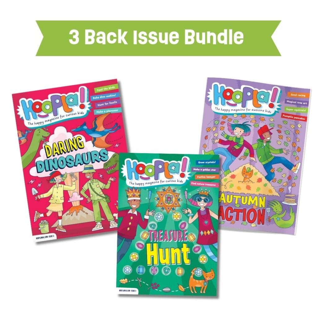 Hoopla new set 2 bundle