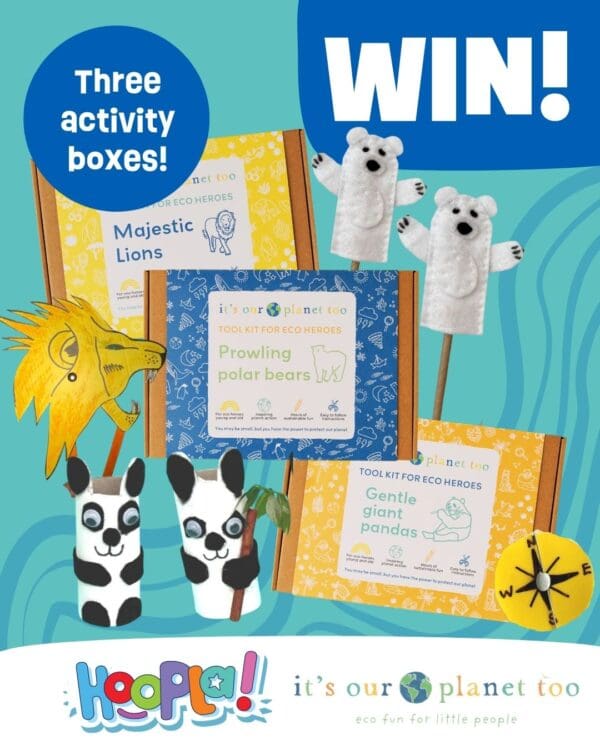 Kids activity box competition - win eco boxes about lions, polar bears and pandas
