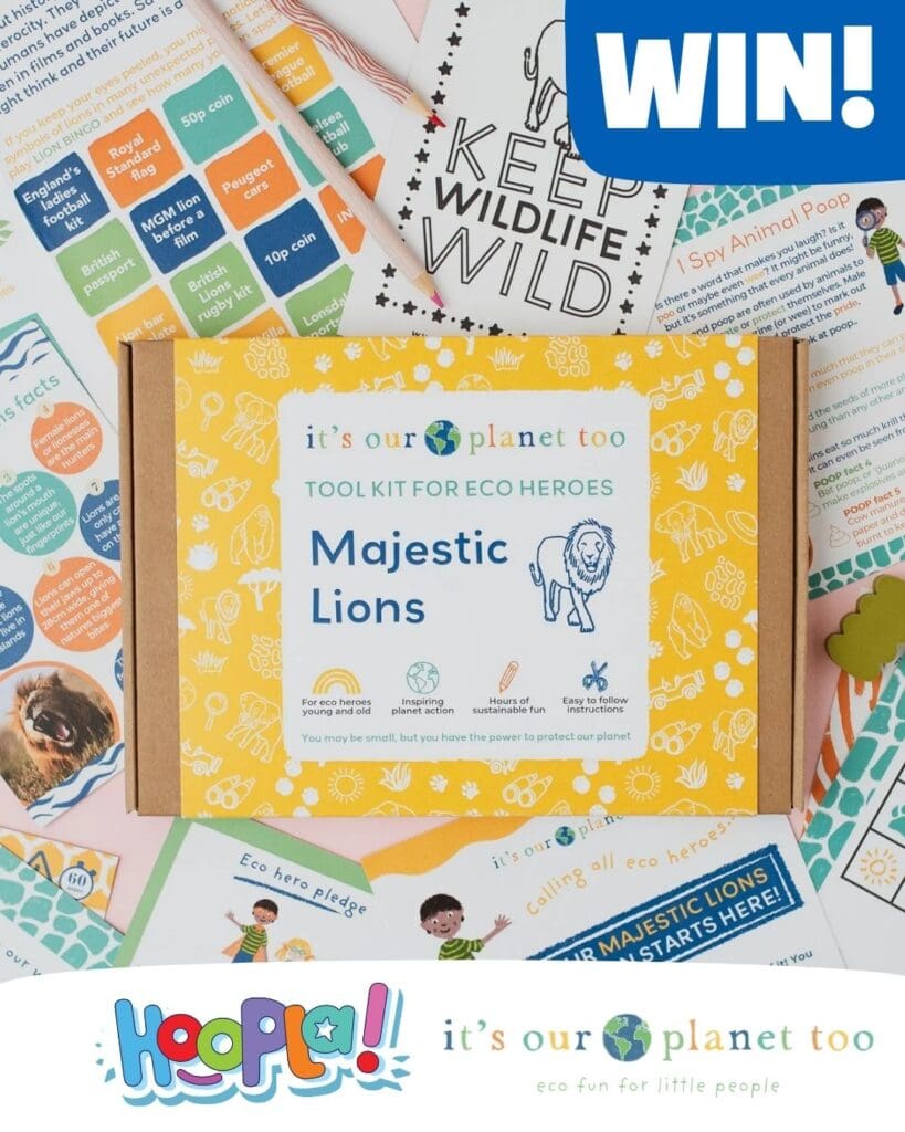 kids activity box competition - win an activity box all about lions