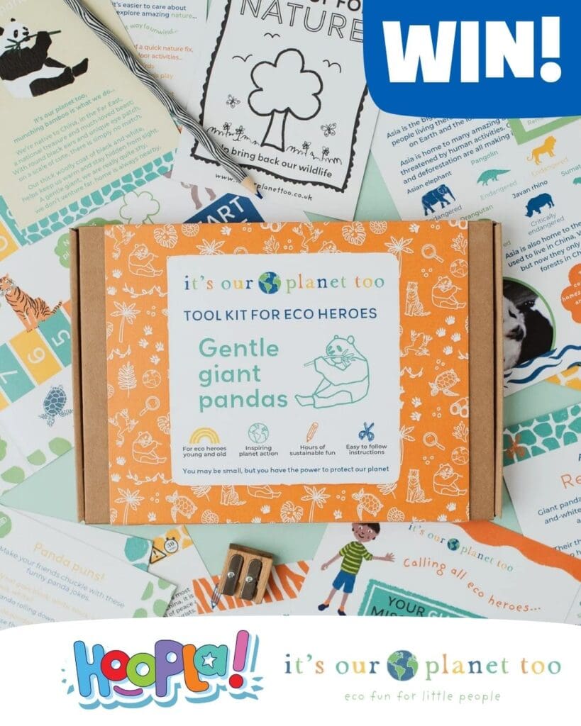 kids activity box competition - win an activity box all about giant pandas