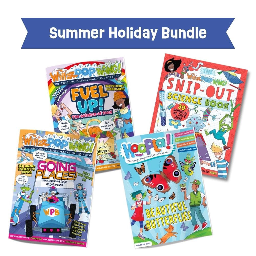 Hoopla summer holiday bundle